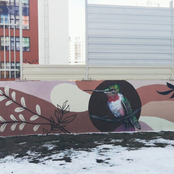 IMG-20250227-WA0020