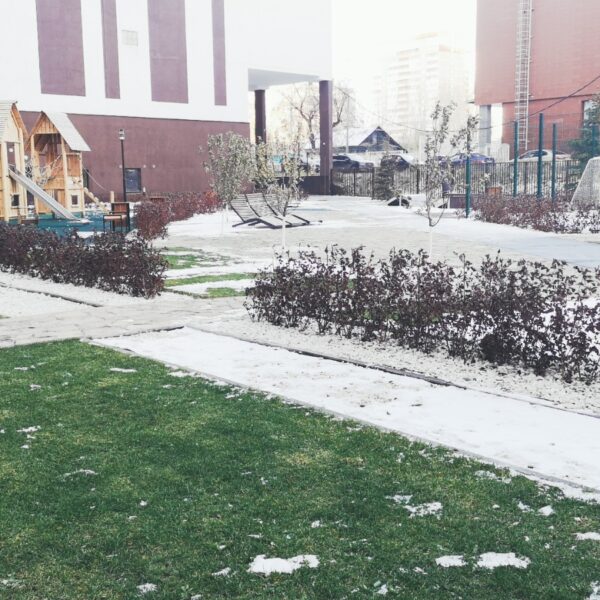 IMG-20250227-WA0021